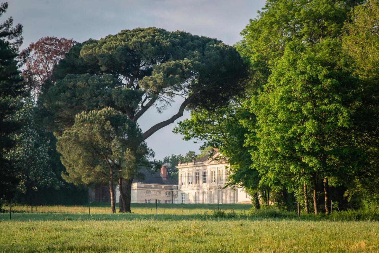 Chateau De Craon Bed & Breakfast Craon  Eksteriør bilde