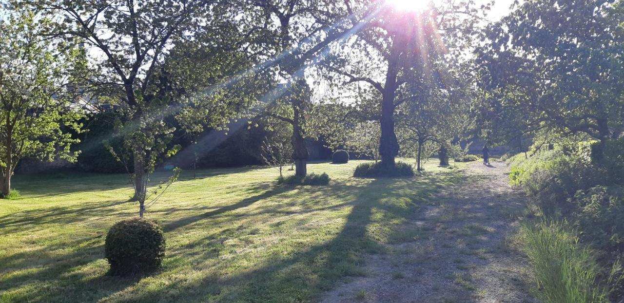 Chateau De Craon Craon  Eksteriør bilde